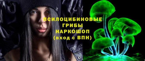 амф Арсеньев