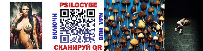 купить   Белинский  Псилоцибиновые грибы мицелий 